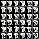 Näomaalingu šabloonide komplekt 36-osaline kompl