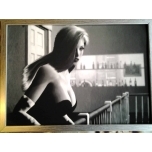 Femelle Handschrift(artist Amadeus Eisenberg)raamitud